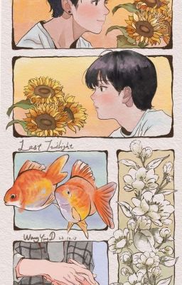 Tìm Anh
