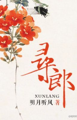 Tìm chàng