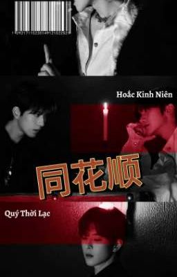[Tinh Kiệt] Đồng hoa thuận