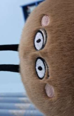 Tình một đêm