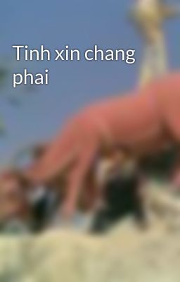 Tinh xin chang phai