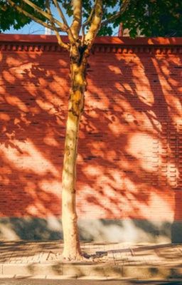 tlbh; cậu ấy có bạn gái rồi, nhưng vẫn nắm tay tôi khi say