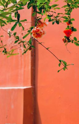 tlbh; không, phòng này thoải mái hơn, long cũng không làm phiền, cứ để vậy đi.