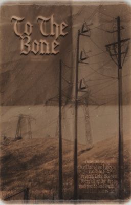 TO THE BONE | THE SANDMAN