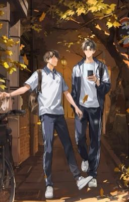 Toạ độ tình yêu