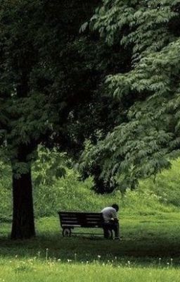 toàn hải; limerence.