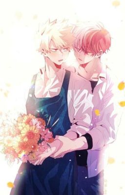 ( TodoBaku ) Thức giấc