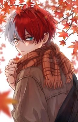 [Todoroki Shouto] Cuộc sống hằng ngày