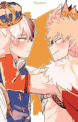 Todoroki x bakugo