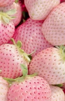 tôi có vài thắc mắc, nhưng nó ổn 