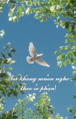 Tôi không muốn nghe theo số phận!