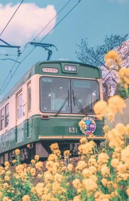 Tôi viết đôi ba câu, mong chạm đến tim người.