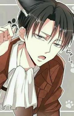 tôi yêu em..levi × Y/n