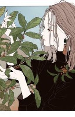 [Tống] Conan thế giới đại tiểu thư-Quái Vị Tàm Đậu