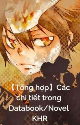 【Tổng hợp】Các chi tiết trong Databook/Novel KHR