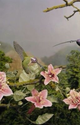  tổng hợp prompts không triển khai