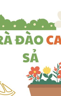 trà đào cam sả