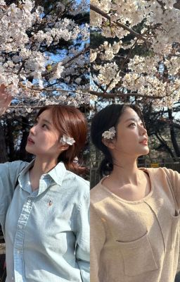Trái Tim Kang Hyewon và Chung Subin Đang ở Mùa Nào