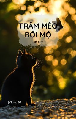 Trăm mèo đào mộ - Lục Diệp