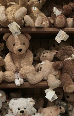 [trans] allxin | trân quý của anh