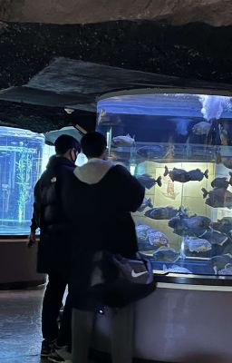 [trans] ánh dương ấm áp