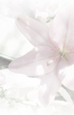 (trans) duru | nút thắt cổ chai