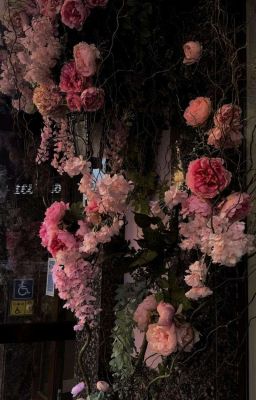 Trans | Fakenut 𝜗𝜚 You Never Said No