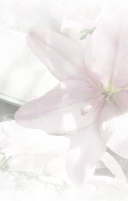 [TRANS] KCCRD | Chào mừng đến với vườn thú Gen
