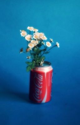 |trans| onker • coca lạnh thì nên để vào đông, vài chuyện thì nên để mhj làm