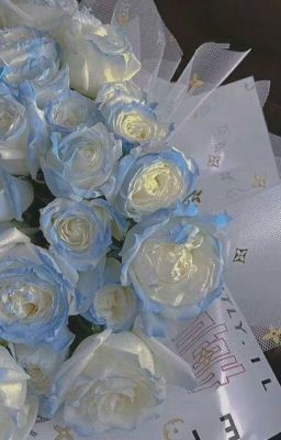 [TRANS] | Rinisa | forever, in this lifetime, i will be with you