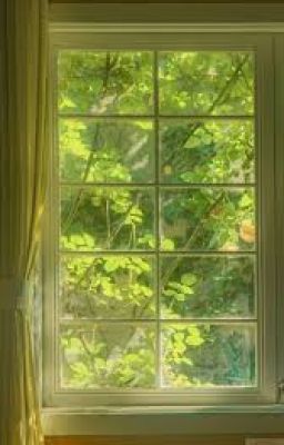 trường học vieon