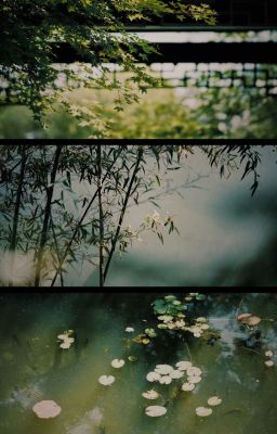 _TRUYỆN CỦA GIÓ_