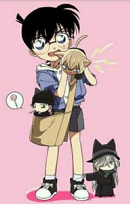 Truyện yaoi ( ??? x shinichi ): Chàng thám tử nhí chúng tôi yêu em 