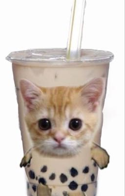 ts - đồng phục đâu ? 