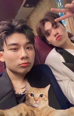 [TSN]- Thuê Phòng