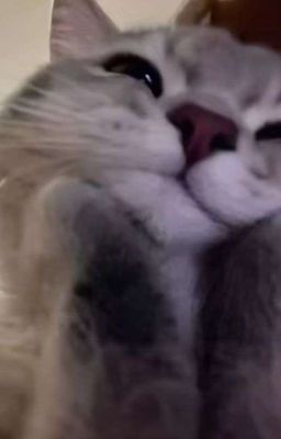 tự lập | on2eus |