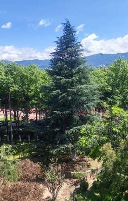 Tự Sáng Tác Truyện H sắc 