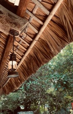 [tubatu] Did we lose our summer?