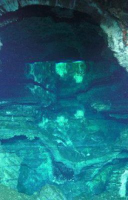 [Twisted Wonderland] [Non-cp] My dear brother