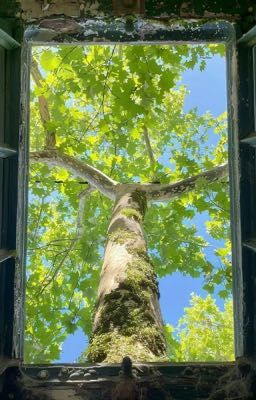 |U23| • Thanh Xuân