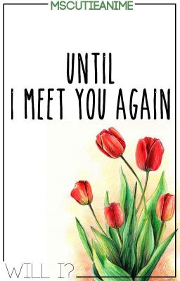 Until I meet you again.