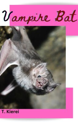 Vampire Bat-(mxm)(Rever series Nine)