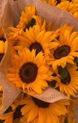 Văn thơ mộng mơ của kẻ khờ