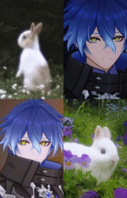 [VarFlins] Thỏ Nhỏ