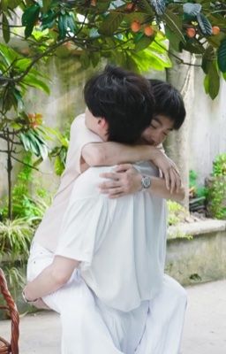 Ver NingYu | LẦN NỮA YÊU ANH 
