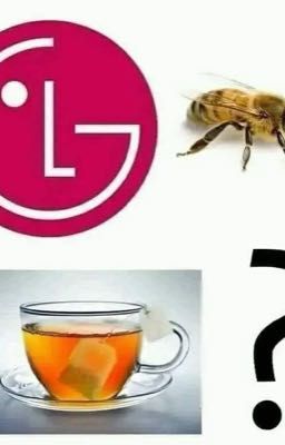 |vĩ cường| mglđk