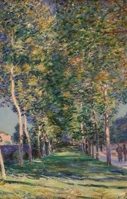 [vicho] chiếc vali đỏ và phương trình vô nghiệm 