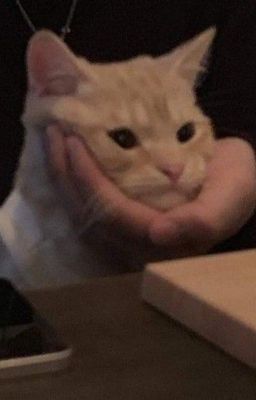 Vicho | Chuyển ver | Người yêu cũ đấm người yêu mới