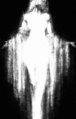 vicho ; nhật kí những ngày cuối