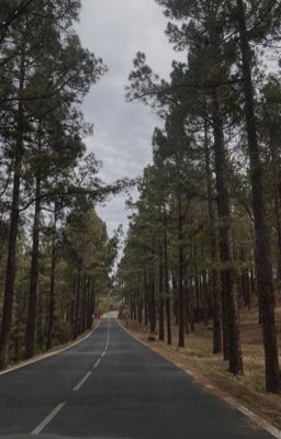 vicuong|đà lạt có lạnh không anh?